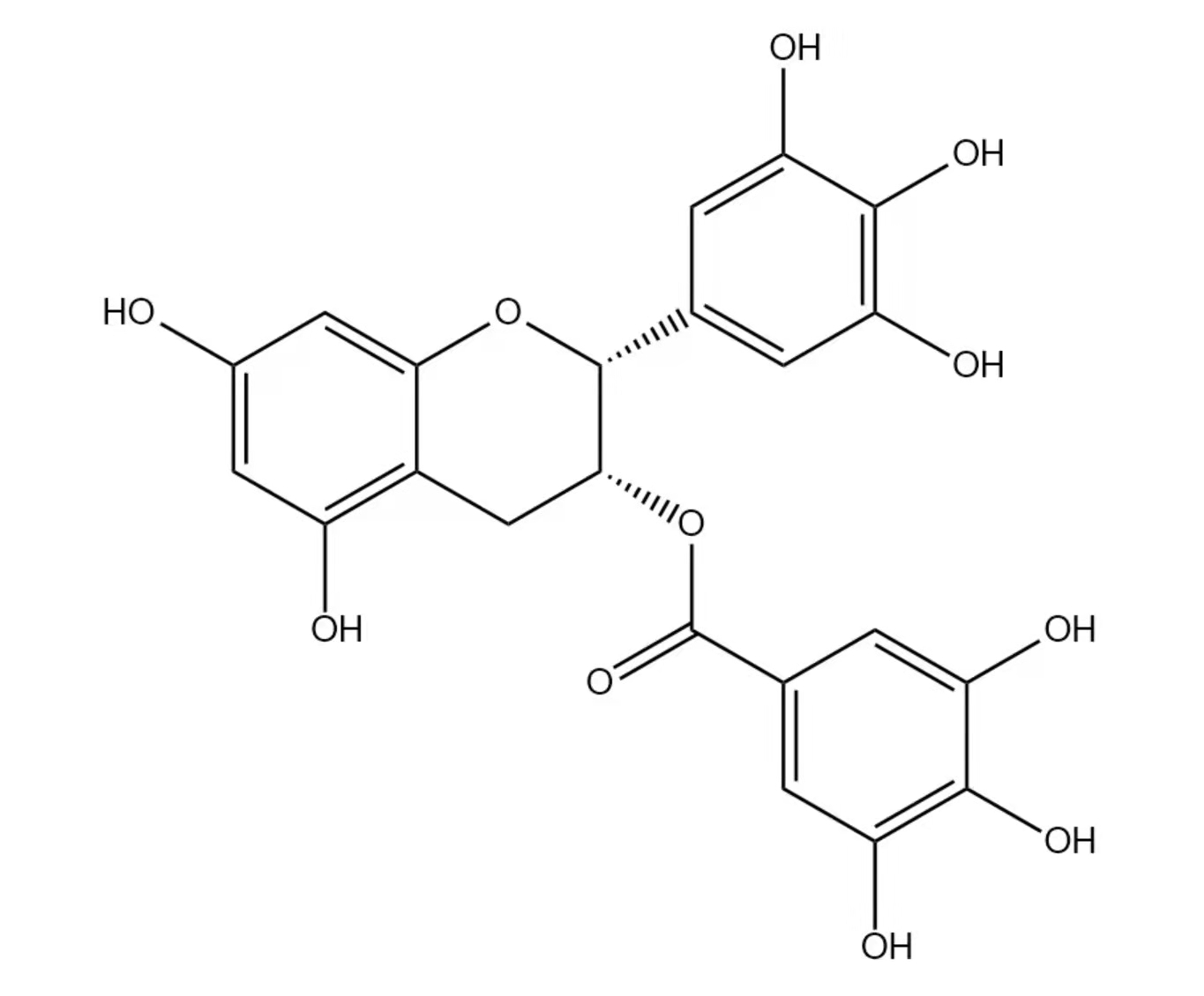 硬核科普：全方位解析多酚类物质，带你了解更真实的茶多酚-小喜年(图3)