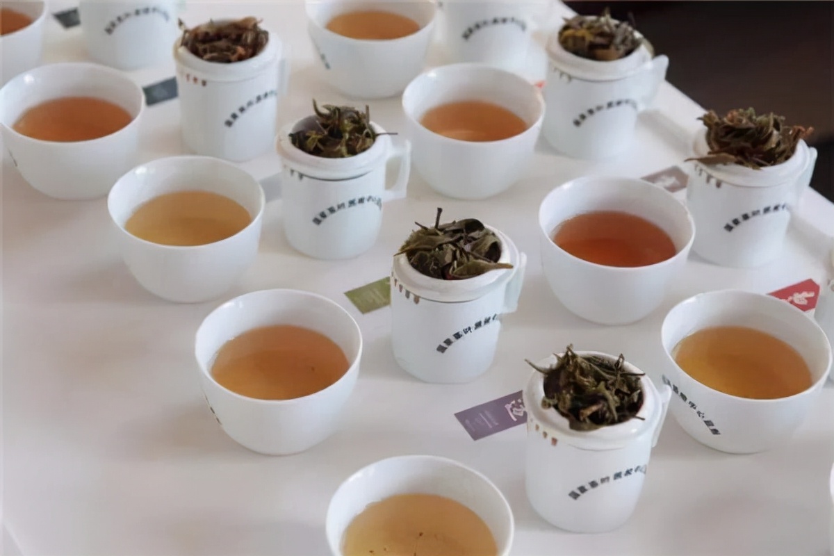 小喜年茶评-在冬季喝一杯“国际名茶金奖”熟普，是一种什么体验？(图4)
